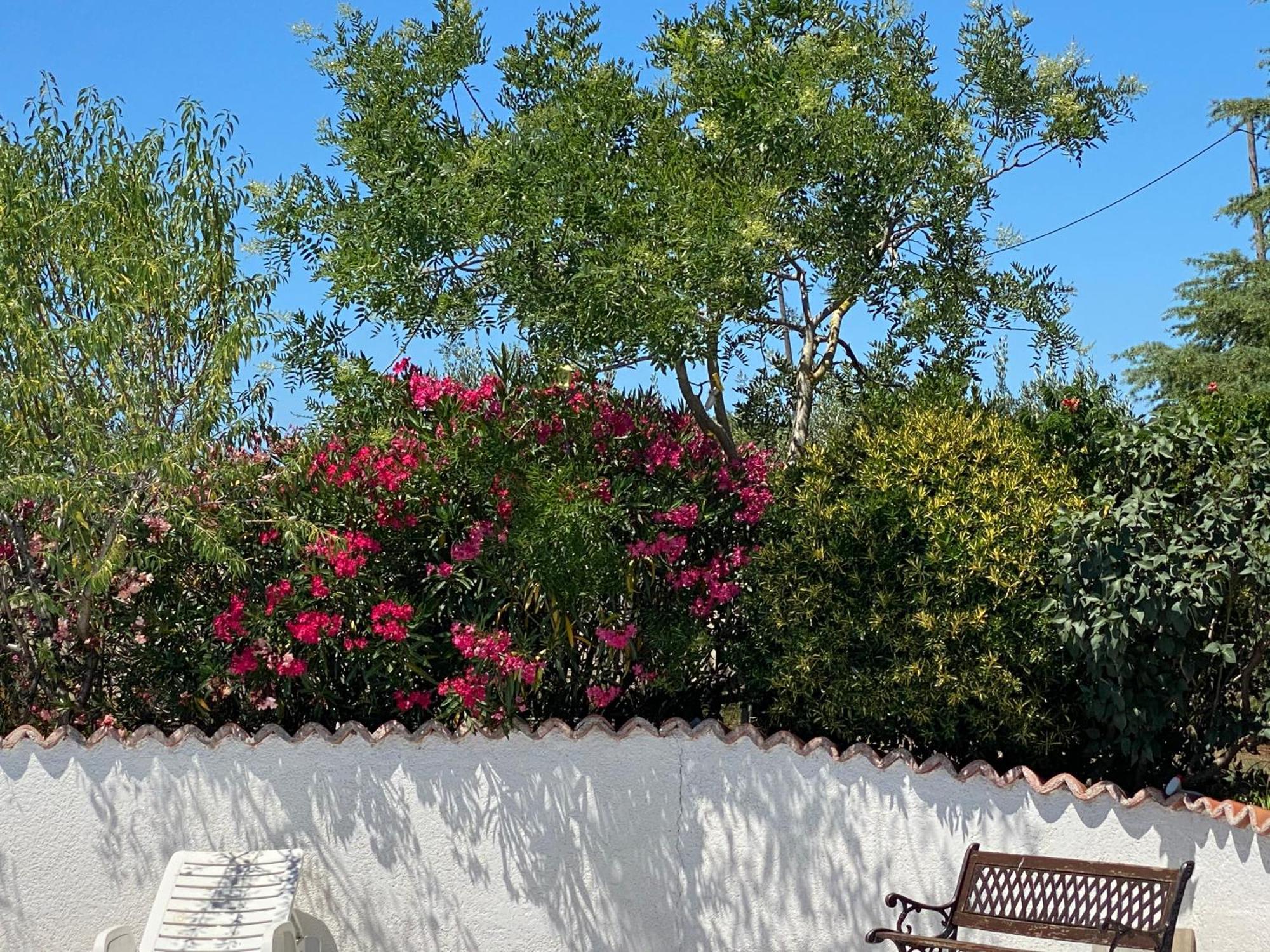 Hotel Aurora Pula Dış mekan fotoğraf